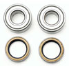 Rear Bearing and Seal Kit Single Row - image 1