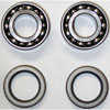 Rear Bearing and Seal Kit Double Row - image 1