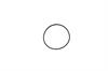 Snout O-Ring - image 1