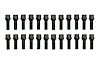 2110-BK SPRINTER LUG BOLT KIT, Black, Select Mercedes-Benz Sprinter 2500 - image 1