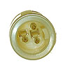 Oxygen Sensor - image 4