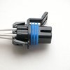 Fuel Pump Wiring Harness - image 2