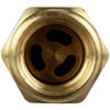 Fuel Pump Check Valve One way flow valve - image 2