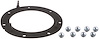 Fuel Pump Tank Seal