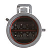 Fuel Pump Module Assembly - image 4