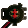 Fuel Pump Module Assembly - image 4