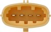 FUEL PUMP MODULE ASSEMBLY - image 4
