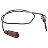 Exhaust Gas Temperature (
