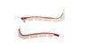 WI68GA00047501G 68 GM A-BODY POST MODEL REAR PANEL WINDLACE- RED - image 1