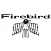Vinyl Floor Mats 1967-69 Firebird - image 1