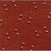 HL70CJ122 70/71 CHALLENGER 5 BOW BURNT ORANGE FINE PEMBROOK - image 1
