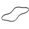 Drive Belt - image 1