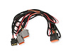 Main Harness for Power Grid Dual NTK Wideband O2 Module - image 1