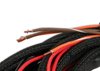 Main Harness for Power Grid Dual NTK Wideband O2 Module - image 4