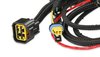 ATOMIC TBI ECU ONLY - SIE - image 3