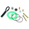 Gasoline Seal Kit For Fuel Pumps 110FI and 250 - image 1