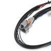 Midget DIS-2 Programmable Race Ignition Two Timing Curves - image 4