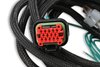 CANBUS HARNESS LS 8000 - image 3