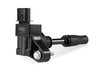 COILS 13-18 GM 2.0T BLACK - image 3