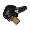 COIL BLACK FORD ECO-BOOST - image 1