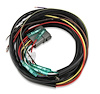 Replacement Wiring Harness for Multi-Channel Ignitions [121-62152 & 121-62153] - image 1