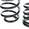 Progressive Rate Lowering Springs 1979-04 Mustang - image 3
