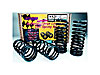 Spring Kit 1999-04 Mustang Cobra - image 1