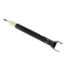 24-229005 B4 OE Replacement Shock Absorber - image 2