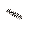 36-161331 B3 OE Replacement Coil Spring - image 1
