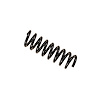 36-163793 B3 OE Replacement Coil Spring; 2003-2005 Mercedes-Benz C240, 2002-2004 C320 - image 1