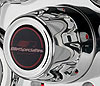 R/S R/T Replacement Center Cap - image 1