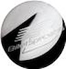 EXPOSED LUG DOME CAP - image 1