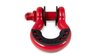 3204 D-Ring Shackle - image 2