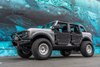 TUBE DOOR BRONCO - image 2