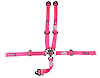 SFI 16.1 CAM-LOCK HARNESS 2 PULL DOWN Lap Belt SNAP 2 Shoulder Harness Individual FLOOR Mount WRAP/S - image 1