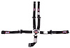 SFI 16.1 CAM-LOCK HARNESS 2 PULL DOWN Lap Belt 2 Shoulder Harness Individual FLOOR Mount 2 SINGLE Sub ALL WRAP ENDS BLACK - image 1