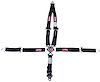 1022101 Junior Dragster 5-Point Cam-Lock SFI 16.1 Racing Harness with 2 in. Sub. Belt [Black]