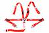 SFI 16.1 CAM-LOCK HARNESS 2 PULL UP Lap Belt BOLT 2 Shoulder Harness Individual FLOOR Mount WRAP/BOLT 2 SINGLE Sub WRAP/BOLT RED - image 1