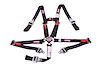 SFI 16.1 CAM-LOCK HARNESS 2 PULL UP Lap Belt BOLT 2 Shoulder Harness Individual FLOOR Mount WRAP/BOL - image 1