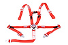 SFI 16.1 CAM-LOCK HARNESS 2 PULL UP Lap Belt 2 Shoulder Harness Individual FLOOR Mount 2 SINGLE Sub - image 1