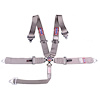 5-Point Cam-Lock Racing Harness Grey