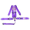 5-Point Cam-Lock Racing Harness Purple - image 1