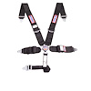 SFI 16.1 CAM-LOCK HARNESS 3 PULL DOWN Lap Belt 3 Shoulder Harness Individual ROLL BAR Mount 2 SINGLE