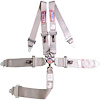 5-Point Cam-Lock Racing Harness Grey - image 1