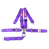 5-Point Cam-Lock Racing Harness Purple - image 1