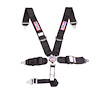 SFI 16.1 CAM-LOCK HARNESS 3 PULL DOWN Lap Belt BOLT 3 Shoulder Harness Individual ROLL BAR Mount WRA - image 1