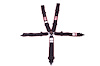 SFI 16.1 ELITE CAM-LOCK HARNESS 3 PULL DOWN Lap Belt 3 Shoulder Harness Individual ROLL BAR Mount 3 - image 1