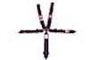 SFI 16.1 ELITE CAM-LOCK HARNESS 3 PULL DOWN Lap Belt 3 Shoulder Harness U ROLL BAR Mount 3 DOUBLE Su - image 1