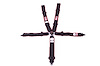 SFI 16.1 ELITE CAM-LOCK HARNESS 3 PULL DOWN Lap Belt 3 DOG BONE Shoulder Harness Individual ROLL BAR - image 1