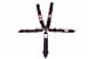 SFI 16.1 ELITE CAM-LOCK HARNESS 3 PULL UP Lap Belt SNAP 3 Shoulder Harness Individual FLOOR Mount WR - image 1